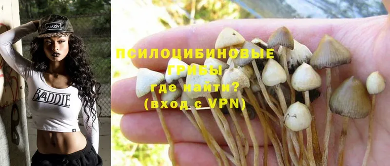 Галлюциногенные грибы Magic Shrooms  Кировск 